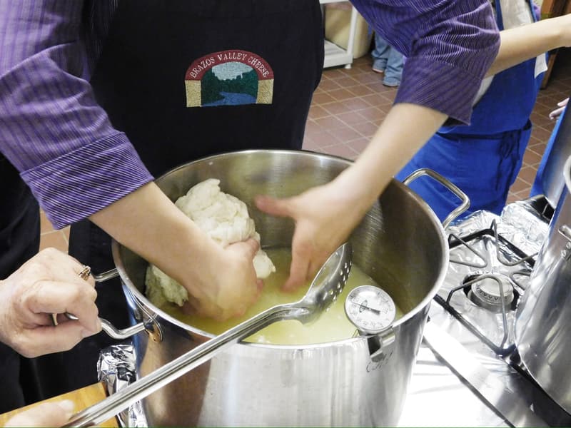 Working fresh curd by hand in the vat